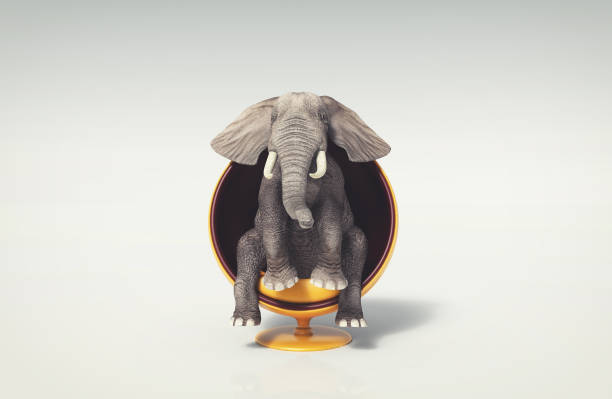 elefante sentado en una silla redonda moderna. esta es una ilustración de renderización 3d. - large mammal fotografías e imágenes de stock