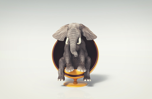 Elephant sitting on a round modern chair . This is a 3d render illustration .