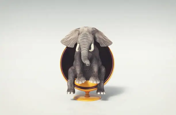 Elephant sitting on a round modern chair . This is a 3d render illustration .