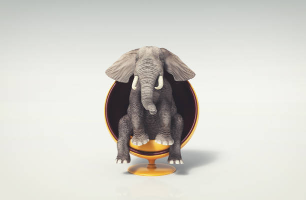 elefante sentado em uma cadeira redonda moderna. esta é uma ilustração de renderização 3d. - large mammal - fotografias e filmes do acervo