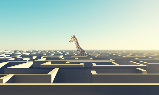 Giraffe above the labyrinth . Overcome difficult problems . This is a 3d render illustration .