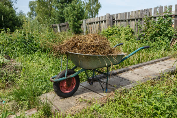 istock Cart with natural cow manure 1273676356
