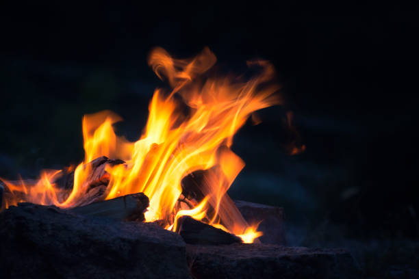 istock Firewoods burned in fire close-up. Night black background with orange flame of campfire. Wonderful flame. Selective focus. 1273686375