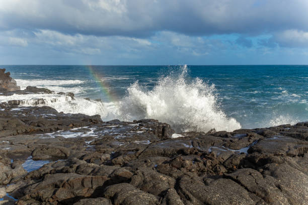istock Big waves on the rocky coast. Hawaii 1273686496