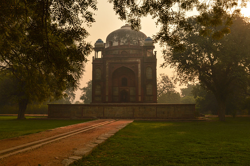 Bunch of trees and mesmerizing view of humayun tomb memorial from the side of the lawn at winter foggy morning.