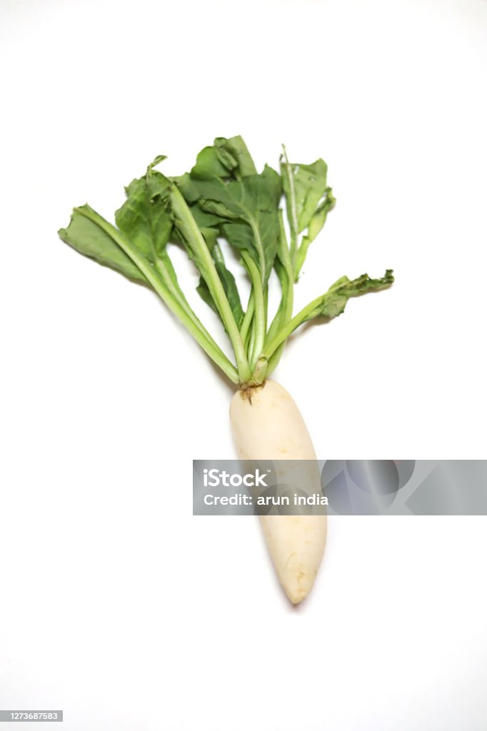 White Rasish White Radish On White Backgrounds Stock Photo - Download Image Now ...