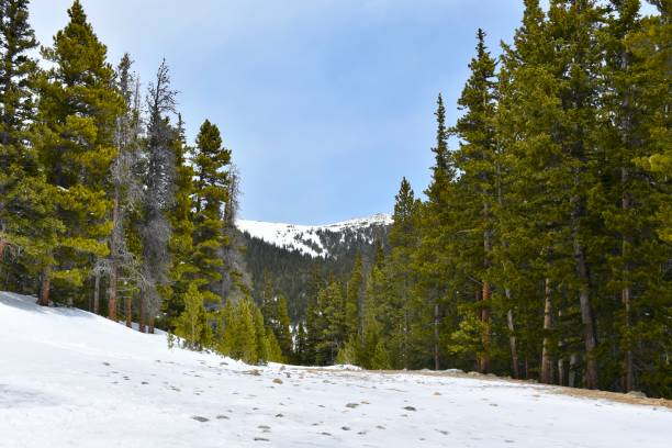 istock Spring Snow, Saint Mary's Glacier Hike 1273689184