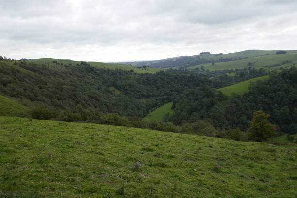 istock Green rural landscape in Derbyshire 1273690523