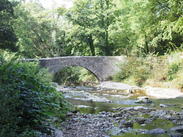 istock Stone bridge in the Yorkshire Dales 1273690777
