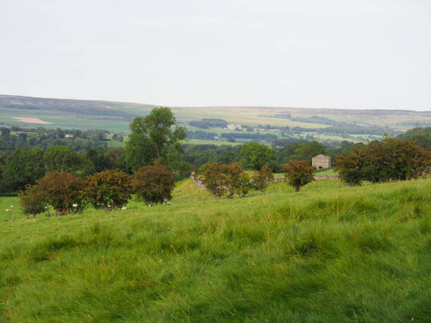 istock Rural landscape in the Yorkshire Dales 1273690816