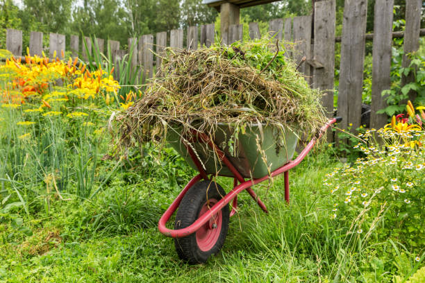 istock Garden cart in the kitchen garden 1273694861