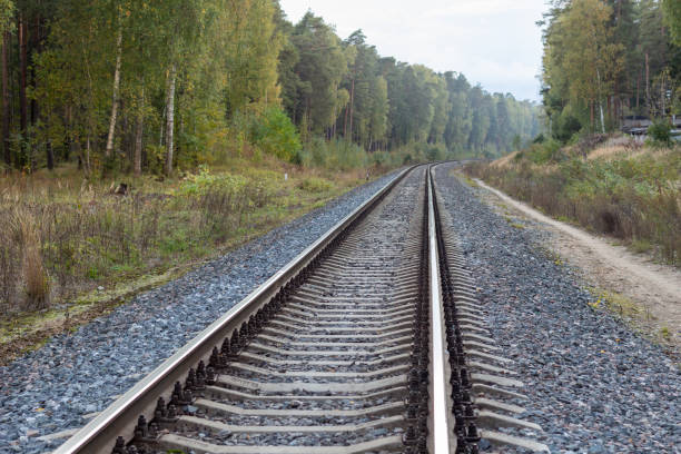 istock railroad tracks in the forest in sunny fall day 1273697763