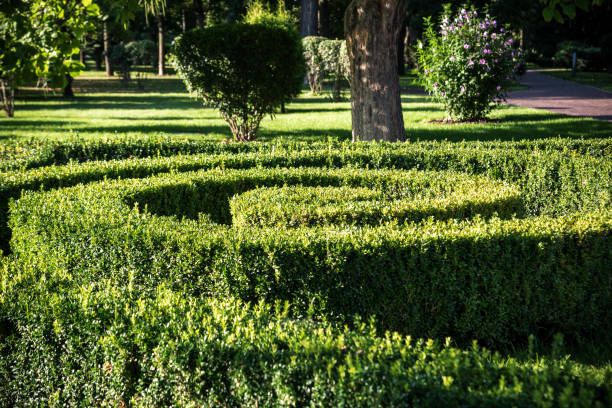 istock Green spiral cutting book like a park design natural element 1273700342