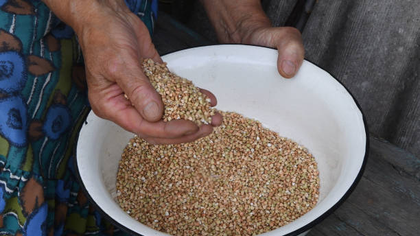 istock Handful of buckwheat groats close up 1273701129