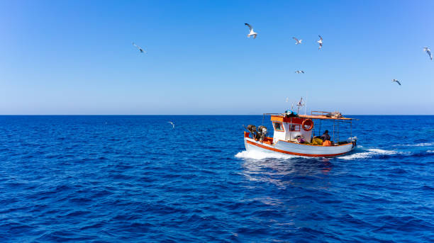 istock Fishing boat followed by seagulls 1273701249