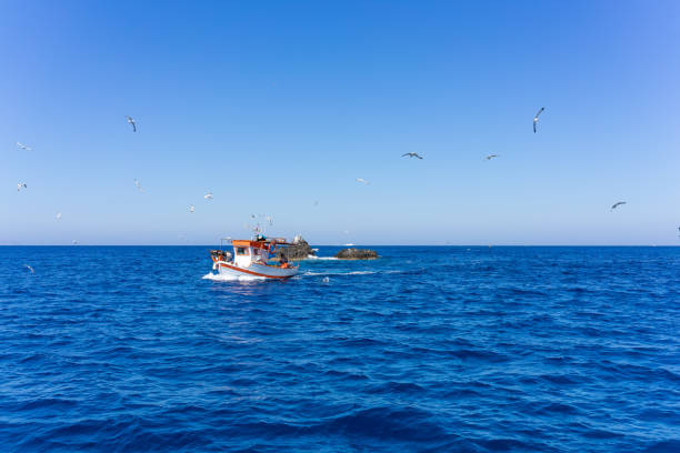 istock Fishing boat followed by seagulls 1273701250