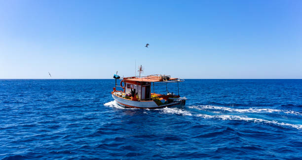 istock Fishing boat followed by seagulls 1273701252