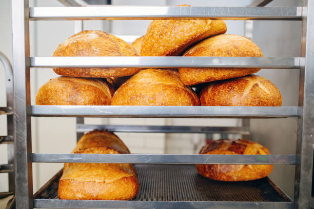 istock Crispy gold freshly bakeden bread loafs cooling on an iron shelf 1273705755