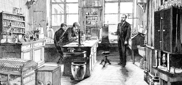 illustrazioni stock, clip art, cartoni animati e icone di tendenza di robert koch nel suo laboratorio microbiologico 1891 - germany illustration and painting engraving engraved image