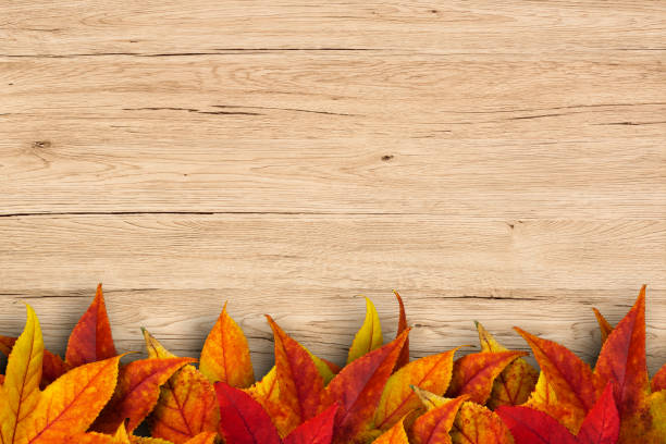 Colorful autimn leaves on light wooden background