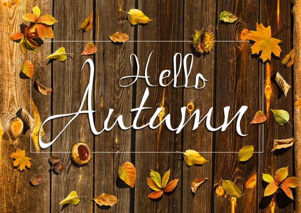 istock Hello Autumn Text. Hello Fall sign on autumn vegetables with colorful leaves,acorns,nuts, on wooden rustic table. Fall seasons greeting card. Atmospheric image 1273712979