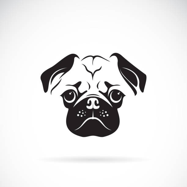 Vector of pug dog face on white background, Pet. Animals. Easy editable layered vector illustration. Vector of pug dog face on white background, Pet. Animals. Easy editable layered vector illustration. pug stock illustrations