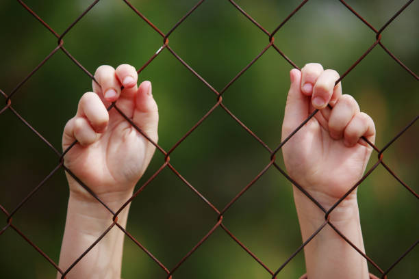 istock children's hands hold on to the fence 1273715086