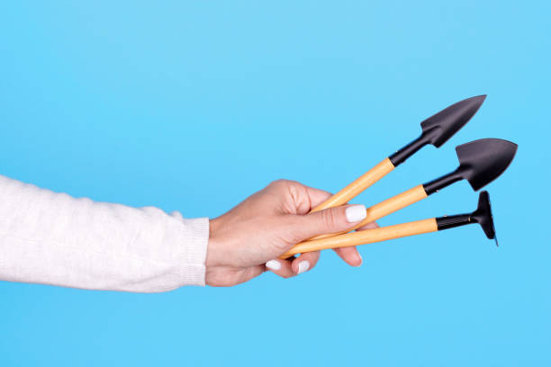 istock Gardening tools in hand, isolated on blue background. 1273718031