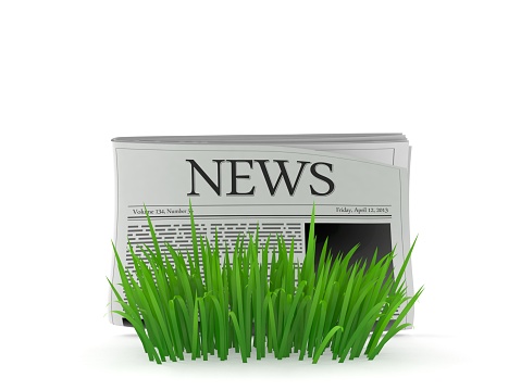 Newspaper on grass isolated on white background. 3d illustration