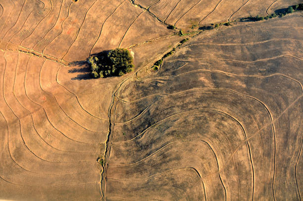 Ploughed contoured land with a few green trees