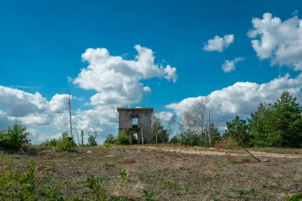 Photo of Ruins of concrete building at former military training area Jueterbog in late summer