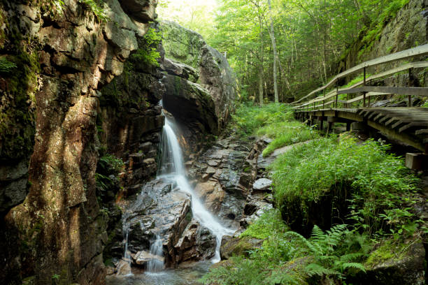istock Waterfall in Flume Gorge park in New Hampshire 1273722045