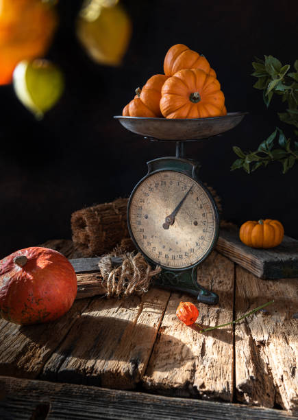 Autumn still life in rustic style with few bright orange pumpkins weighted on old dirty vintage scales on old textured natural wooden surface. Selective focus. Dark background. Vertical orientation.