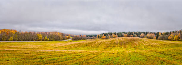 istock Beautiful Fall Landscape with Wavy Colorful Fields Under rainy Grey Skies.Panorama Image 1273723550