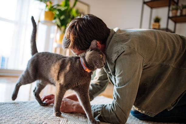 istock Handsome millennial guy cuddling cat at home 1273737270