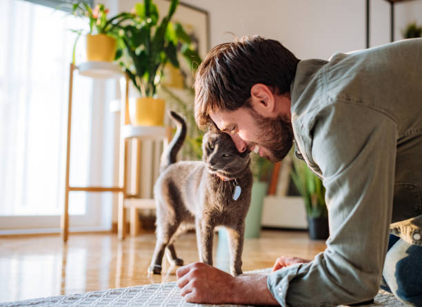 istock Handsome millennial man cuddling cat head to head 1273737338