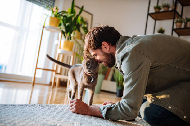 istock Handsome millennial man cuddling cat at home during covid-19 lockdown 1273737406