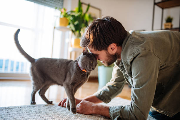istock Handsome millennial man cuddling cat during coronavirus quarantine 1273737436