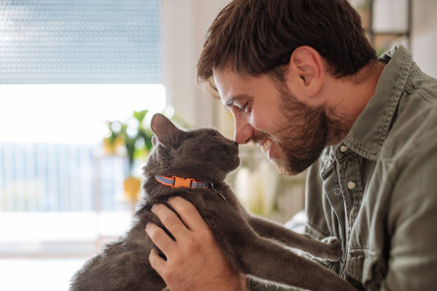 istock Handsome millennial man cuddling cat, nose to nose 1273737539