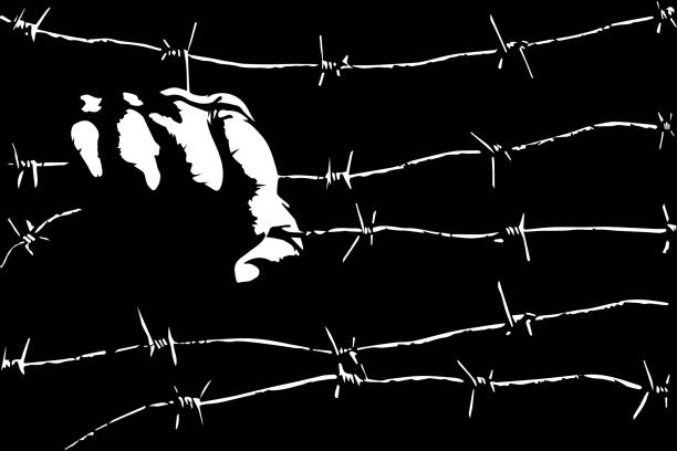 ilustrações, clipart, desenhos animados e ícones de prisão, escravidão, cativeiro, conceito de campo de concentração com mão masculina segurando arame farpado - barbed wire wire isolated nobody