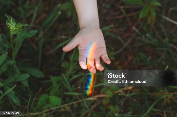 Close Up Of Kids Hand With Rainbow Stock Photo - Download Image Now - Rainbow, Child, Hand