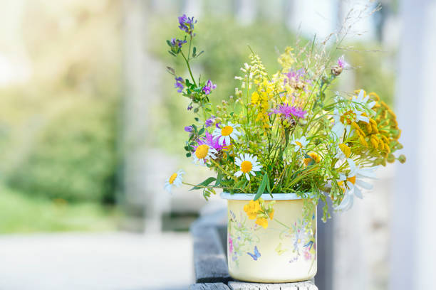 Blurred Summer composition with a bouquet of wild flowers. Stock photo