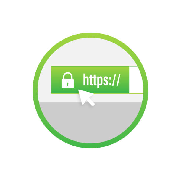 Secure connection icon vector illustration isolated on white background, flat style secured ssl shield symbols. Secure connection icon vector illustration isolated on white background, flat style secured ssl shield symbols hypertext transfer protocol stock illustrations