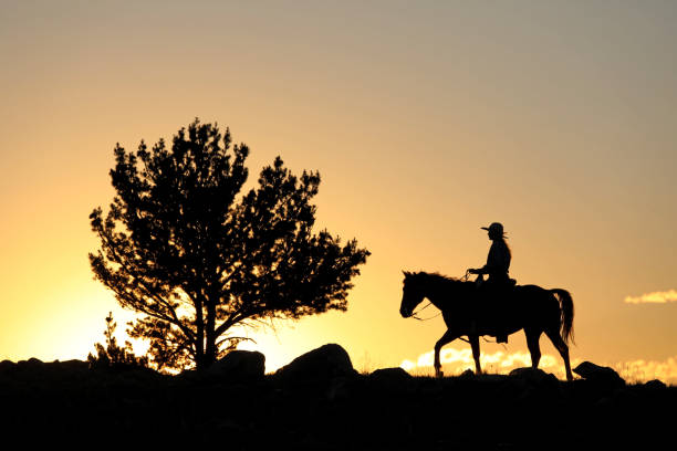 istock Cowgirl silhouette backlit at sunset with a tree 1273748682
