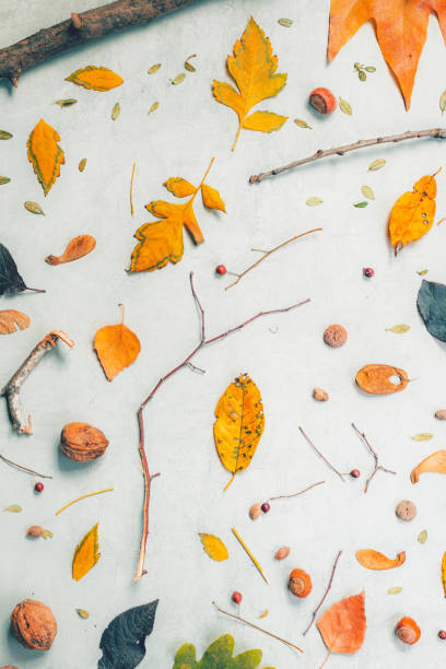 istock Autumn season flat lay decoration, top view 1273753410