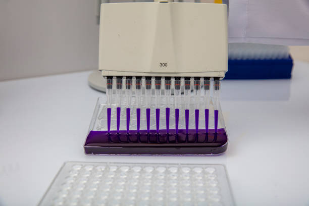 pipeta wielokanałowa ładuje próbki biologiczne w mikropłytce do badania w laboratorium / wielokanałowe próbki ładunku pipety w mikropłycie pcr z 96 dołkami - test tube microplate cell biotechnology zdjęcia i obrazy z banku zdjęć