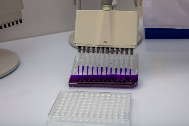 pipeta wielokanałowa ładuje próbki biologiczne w mikropłytce do badania w laboratorium / wielokanałowe próbki ładunku pipety w mikropłycie pcr z 96 dołkami - test tube microplate cell biotechnology zdjęcia i obrazy z banku zdjęć