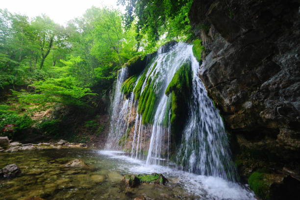 istock Waterfall in a lush green summer forest 1273758470