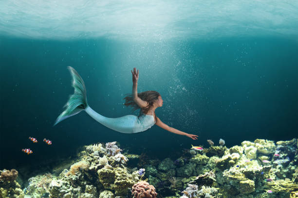 Underwater Mermaid Swimming Among Ocean Coral Reef Mermaid with long tail swimming under the waters of the ocean coral reefs. tail photos stock pictures, royalty-free photos & images