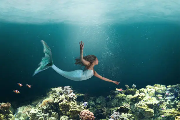 Mermaid with long tail swimming under the waters of the ocean coral reefs.